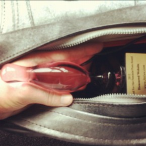 Customs officer thinks feminist porn is necessary; TSA thinks Glass Butt Plug Trophies are not only safe, but pretty. Customs officer thinks feminist porn is necessary; TSA thinks Glass Butt Plug Trophies are not only safe, but pretty.